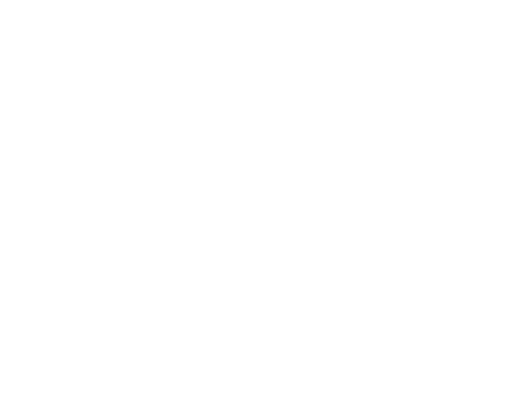 Flavours Of India logo